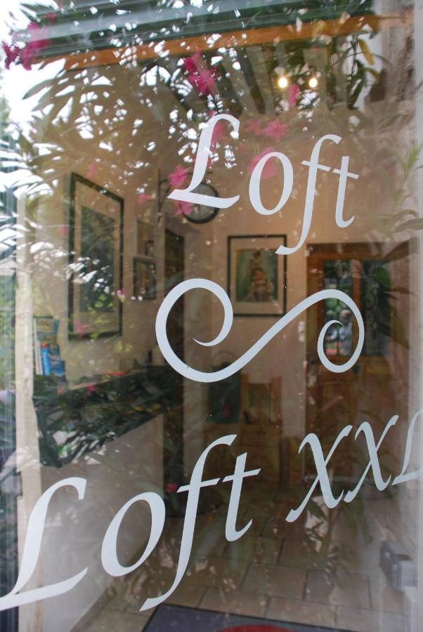 Les Lofts Apartment L'Isle-sur-la-Sorgue Luaran gambar